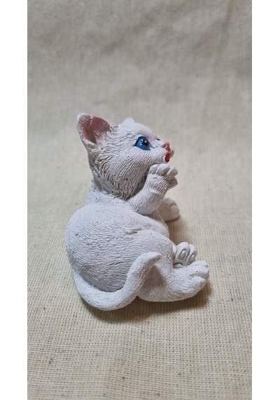 Polyester Kedi Biblo 001