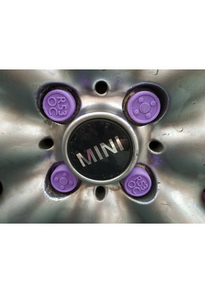2002-2006 Mini Cooper Cooper S Bijon Somunu Kapakları