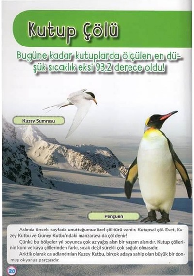 Birlikte Keşfedelim! - Muhteşem Doğa- Teleskop Popüler Bilim