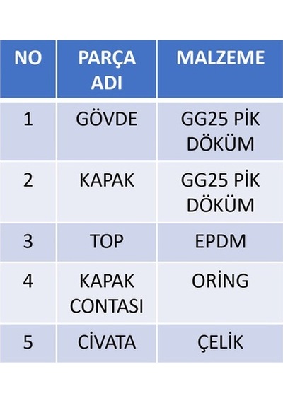Dişli Çekvalf Toplu 2 Dn Dn50