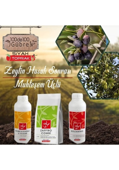 Zeytin Ağaçlarında Hasat Sonrası Kış Uygulaması Seti