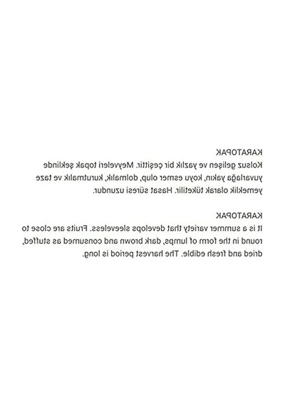 Yerli Kabak Tohumu Seti, 20 Adet İle Verimli Bahçe Yetiştiriciliği İçin