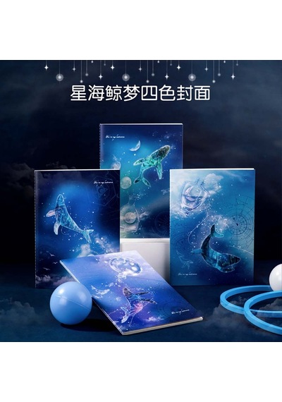 Deli Notebook B5 40yp Whale Dream Defter Qfb540