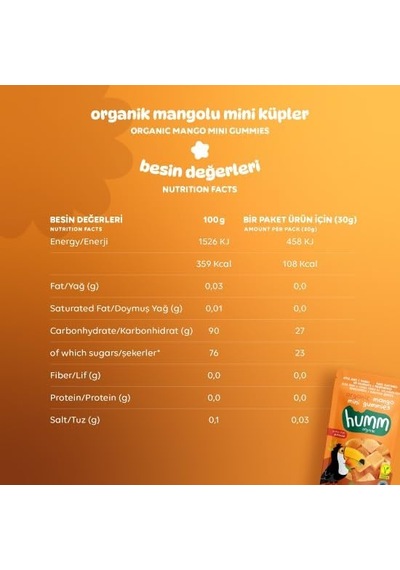 Organik Glutensiz Vegan Mangolu Mini Küpler - 30g Diğer