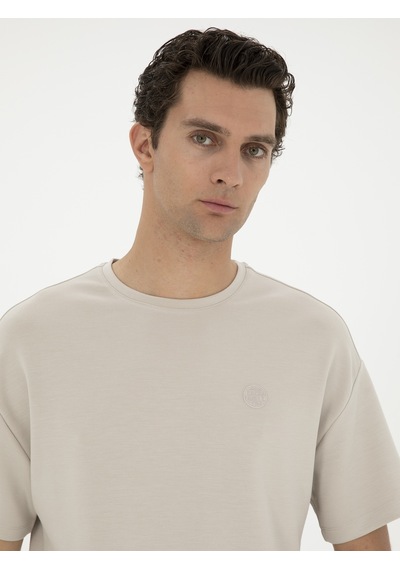 Taş Slim Fit Bisiklet Yaka T-shirt Gri