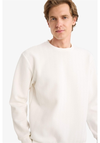 Defacto Regular Fit Bisiklet Yaka Sweatshirt F9854ax26spwt32 Beyaz-wt32