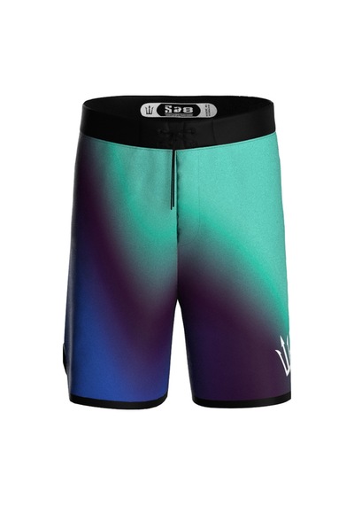 Pose I Down Aurora Veil Boardshort Erkek Fizik Ve Deniz Şortu Mavi