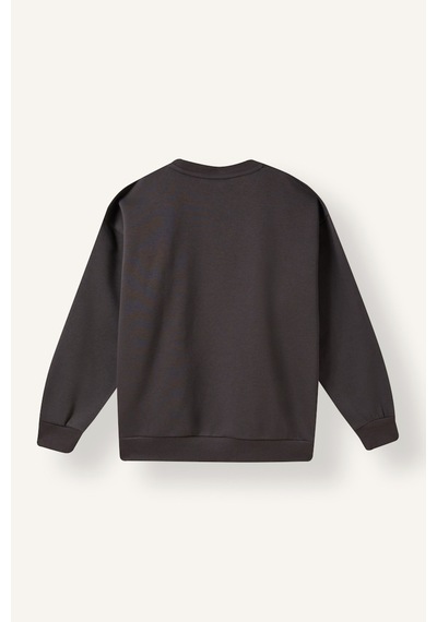 Defacto Overshirt Fit Bisiklet Yaka Baskılı Şerit Detaylı İçi Yumuşak Tüylü Sweatshirt Erkek Çocuk I6075a826wnar202 Antrasit-ar202