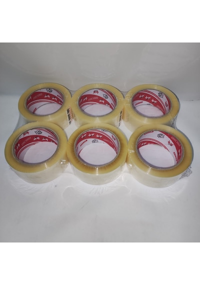 Vege Koli Bandı Aslan Şeffaf 6 Adet 45 × 100 Mt.