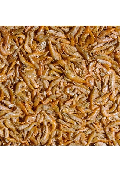 Tropical River Shrimps 100 Gr Kovadan Bölme