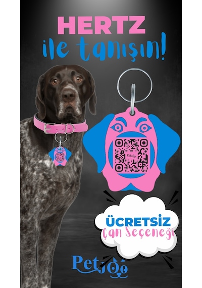 Petjoo 26.Hertz Mavi-Pembe Qr'lı Köpek Künyesi