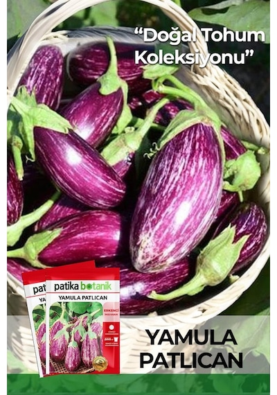 50 Adet Yamula Patlıcan Tohumu