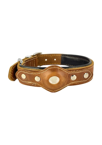 Canini Collar Hakiki Yağlı Deri Airtag Uyumlu Köpek Tasması Dayanıklı, Konforlu Ve Şık Tasarım, Airtag Böl Genel
