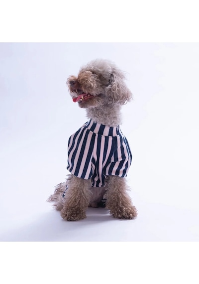 Pawstar 26912 Sevilla Siesta Küçük Irk Tulum-21652