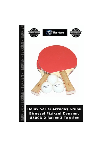 Delux Serisi Arkadaş Grubu Bireysel Fiziksel Dynamıc 8500d 2 Raket 3 Top Set