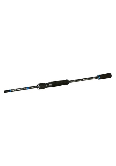 Shimano Bassterra Sea Bass 2,74m 7-30g 2pc Spin Kamışı t21370-39982