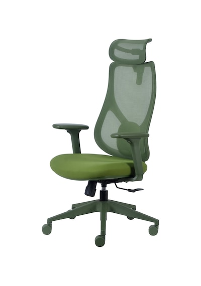 Rio Ergonomik Çalışma Koltuğu Yeşil