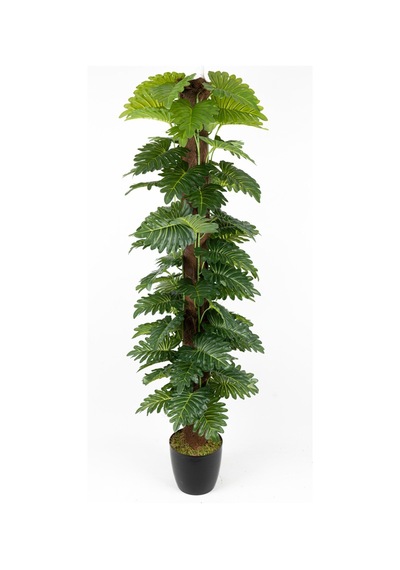 Yapay Çiçekçiniz Yapay Monstera Ağacı 150 Cm