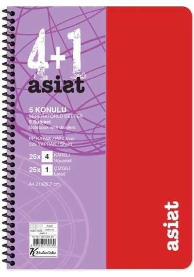 Defter A4 4+1 125 Yaprak Ayraçlı Plastik Kapak Asist Çok Renkli