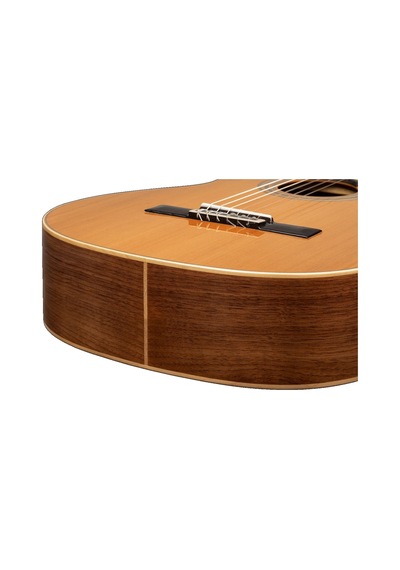 Ortega R20gwn Traditional Series Klasik Gitar Natural