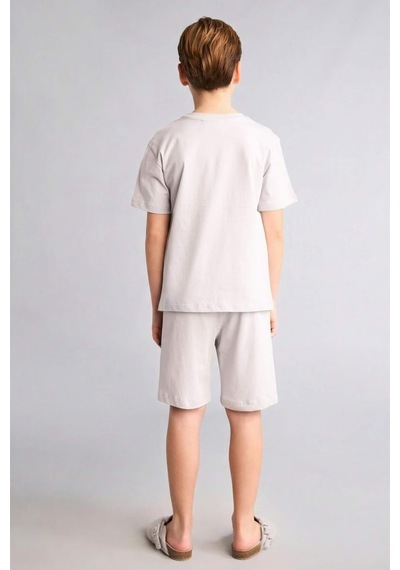Defacto Dragon Ball Regular Fıt 2li Pijama Takımı Erkek Çocuk H4108a826hsgr184 Gri-gr184
