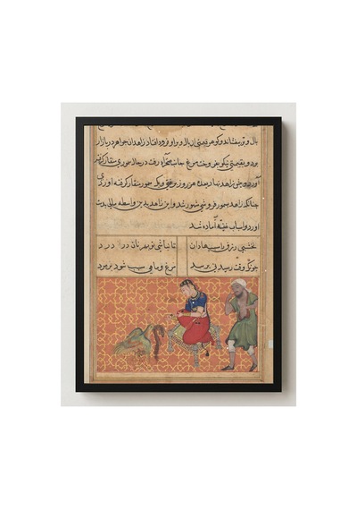 Botanik Yedi Renkli Kuş Ve Samur Tuti-name Çerçevesiz Poster 21x30 Cm A4 Botanik Doğa Tarihi