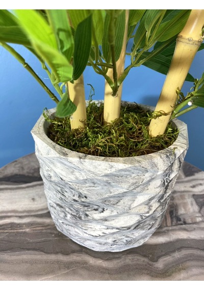 Yapay Çiçek Deposu Beton Saksıda Bambu Ağacı Açık Yeşil 65 Cm Yosunlu Model