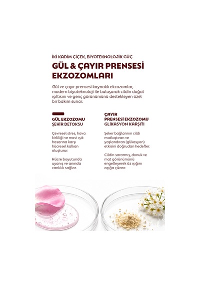 %4 Eksozom Kompleks Krem, Smallrna İle Güçlendirilmiş Gül Ve Çayırprensesi Eksozomları, Hücre Canlandırıcı, Derin Nem, Porselen Işıltısı, Şehir Detoksu, Post-op - 886551459 %4 Eksozom Kompleks Krem, Smallrna İle Güçlendirilmiş Gül Ve Çayırprensesi Eksozomları, Hücre Canlandırıcı, Derin Nem, Porselen Işıltısı, Şehir Detoksu, Post-op - 886551459