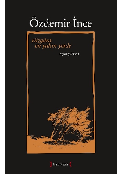 Rüzgâra En Yakın Yerde. Özdemir İnce