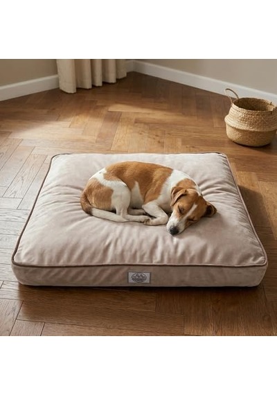 Silky Paw, Çıkarılabilir Kılıf, Kolay Temizlenebilen, Konforlu, Kaydırmaz Tabanlı, Kedi-köpek Yatağı Krem, Medium