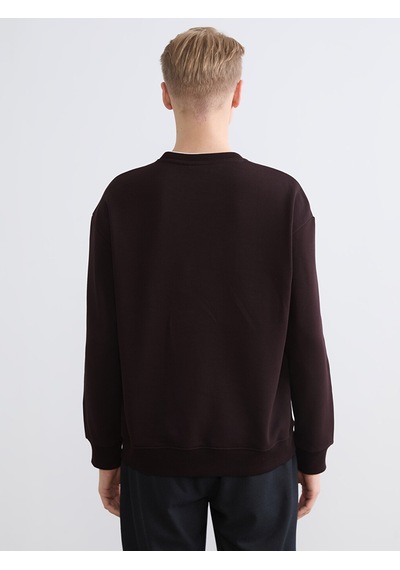 Lcw Vision Kahverengi Bisiklet Yaka Erkek Kalın Sweatshirt
