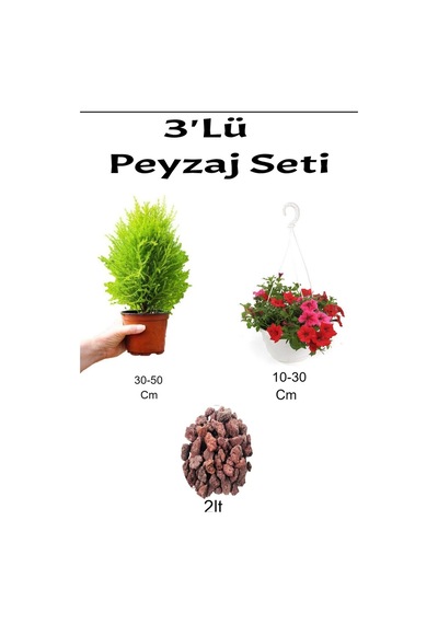 3'lü Peyzaj Seti Limoni Servi Fidanı Kırmızı Petunya Çiçeği Curf
