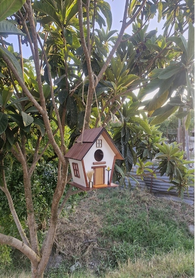 El Yapımı Ahşap Kuş Yuvası Dekoratif Kuş Evi Bahçe Balkon Dekorasyon Vernikli Kızılağaç