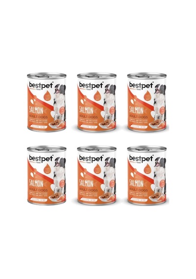 Bestpet Somon Balıklı Köpek Konservesi 400 Gr 6'li Paket Yaş Mama