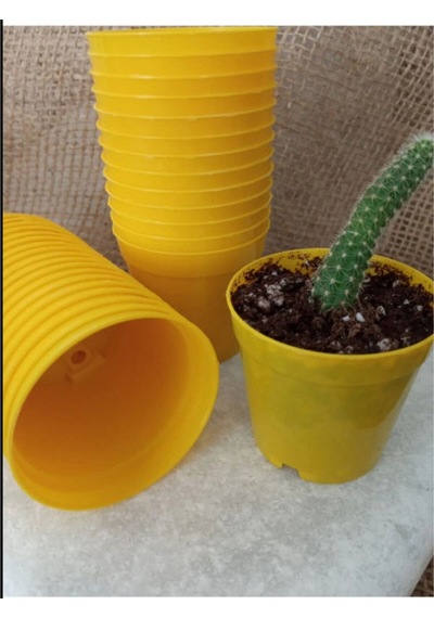 Katı Plastik Sukulent Saksısı 5 Adet Sarı 5.5 Cm
