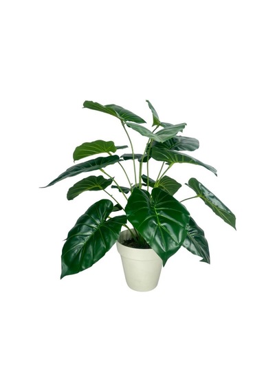 Yapay Çiçek Difenbahya Yeşil Salon Çiçeği 50cm Beyaz Saksılı Yapay Bitki
