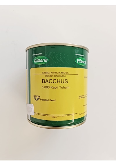Bacchus Kırmızı Kıvırcık Lolorosso 1 Kutux5000 Adet Kaplı Tohum