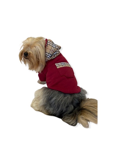 Kemique Bb Limited Kapşonlu Köpek Sweatshirt