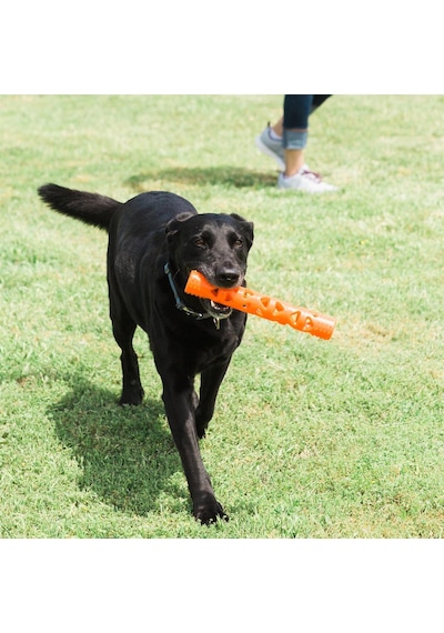 Chuckit Air Fetch Stick Köpek Oyuncağı Büyük Boy 31 CM