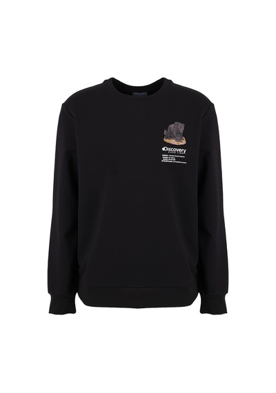 Discovery Expedition D6wm-swt3791 Siyah Erkek Bisiklet Yaka Rahat Kalıp Cepsiz Sweatshirt