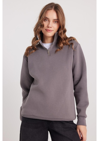 Tudors Kadın Relax Fit Rahat Kesim Pamuklu İçi Polarlı Yarım Fermuarlı Gri Dik Yaka Sweatshirt-37894 Gri
