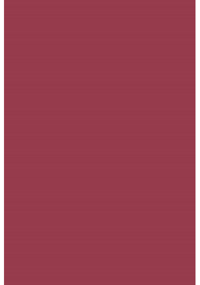 Flormar Saten Dokulu Stick Ruj - Prime N Lips Lipstick - 017 Subdued Rosy- 8690604364480