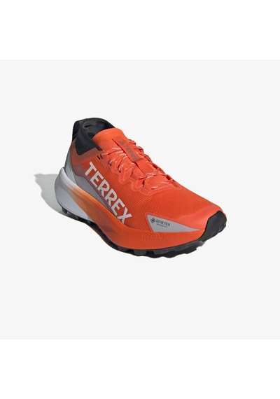 Adidas Terrex Agravic Gore-tex Kadın Turuncu Koşu Ayakkabısı Jr5248