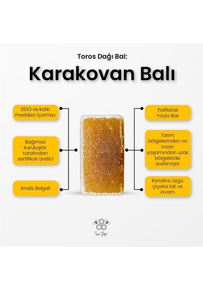 Toros Dağı Karakovan Balı 600 G