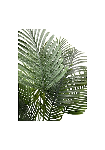 Cihan Çiçekçilik Areka 15 Yaprak 200 Cm 70x35 Özel Tasarım Saksı Yeşil