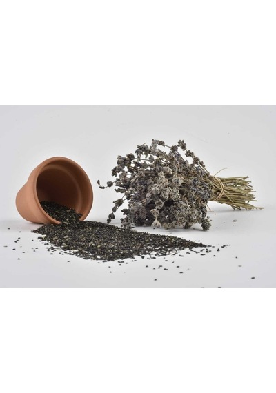 Lavanta Lavandula Angustifolia 20 Adet Tohum