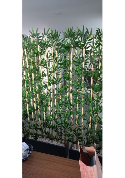 4 Adet 100 Cm Saksıda 180 Cm Bambu Speratör Çok Renkli