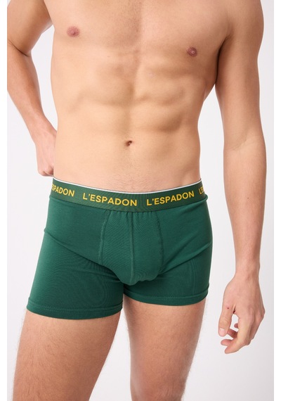 L'espadon Maritime Elite Koleksiyonu Elastik Konforlu Bel Bantlı Çizgili Erkek Trunk Boxer-3234 Zümrüt Yeşili