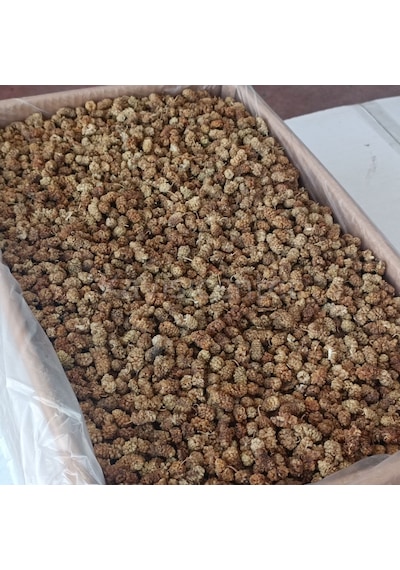 Toptan Yerli Orta Kalite Dut Kurusu 11 Kg Diğer