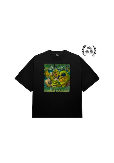 Startmore Shrek Your Self Wreck Your Self Vintage Y2k Tee Tshirt Siyah